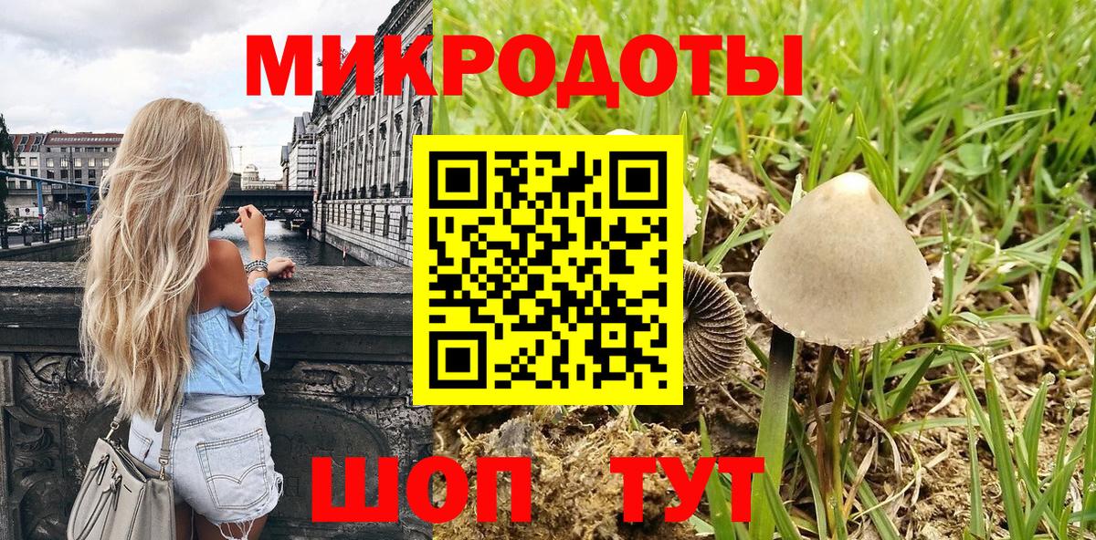 купить закладку  Вход с VPN  Калининград  Псилоцибиновые грибы GOLDEN TEACHER 